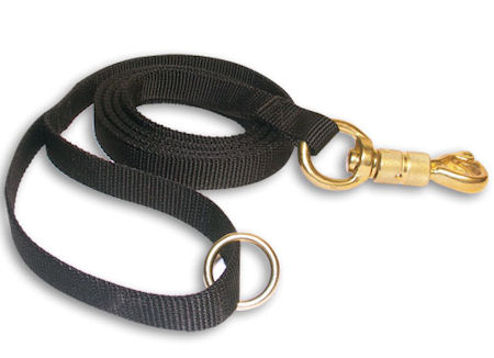 Nylon Dog Leash 180 cm