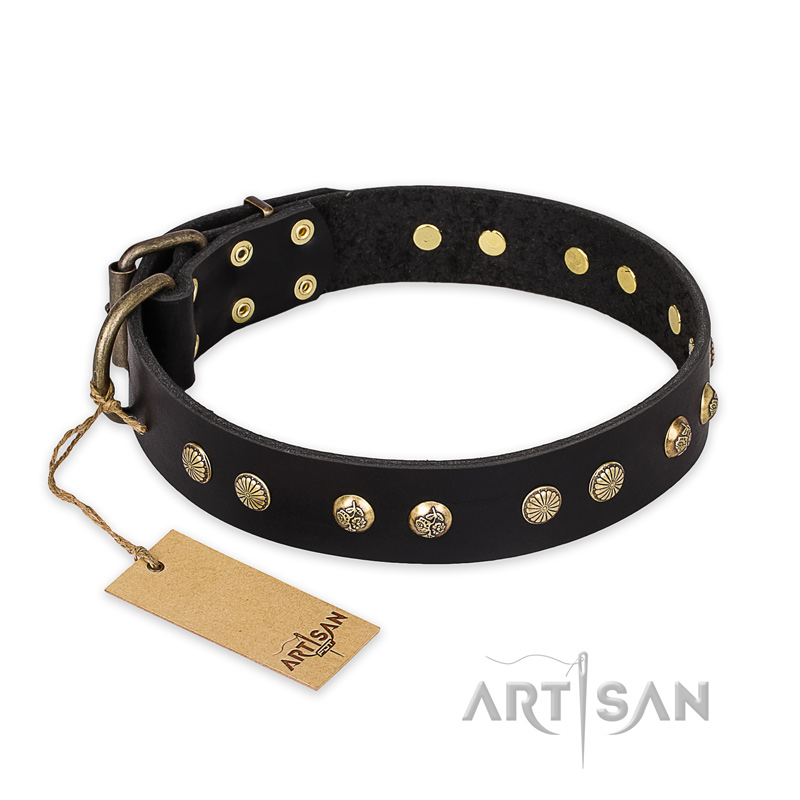 'Black Elegance' FDT Artisan Rottweiler Leather Dog Collar with Round Studs