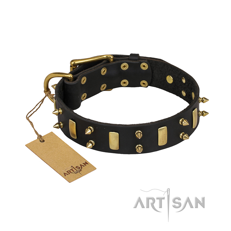 "Medieval Style" Leather Rottweiler Collar with Catchy Brass Plates and Spikes