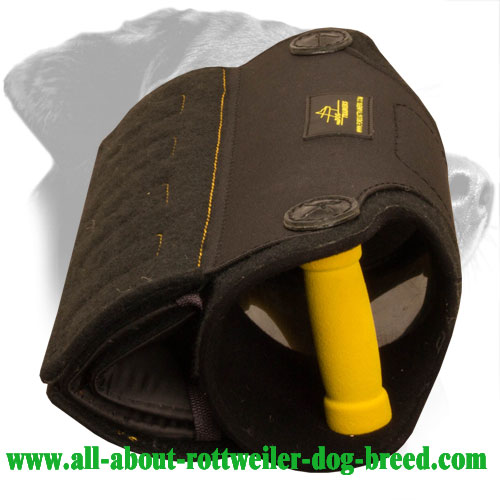 Rottweiler Bite Builder with Replaceable Covers