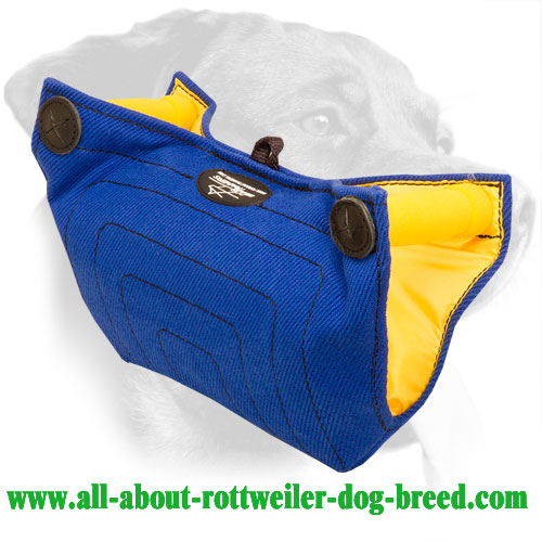 French Linen Rottweiler Bite Builder for Puppies and Young Dogs