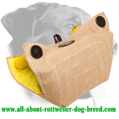 Rottweiler Puppy Bite Builder with Inside Hard Handles