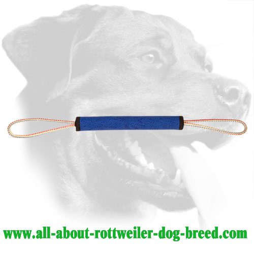 Durable French Linen Rottweiler Play Roll