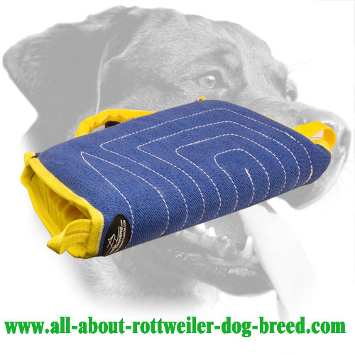 Rottweiler Puppy Training Sleeve Made of French Linen