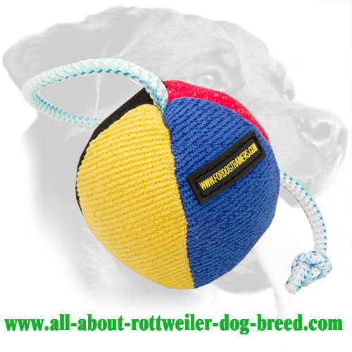 Multicolored French Linen Rottweiler Toy for Training Puppies and Young Dogs