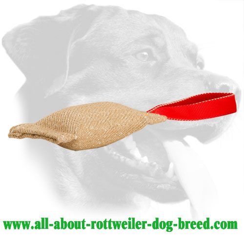 Jute Rottweiler Bite Tug for Active Training