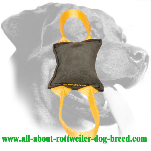 'Firm Bite' Leather Rottweiler Bite Tug with Two Handles