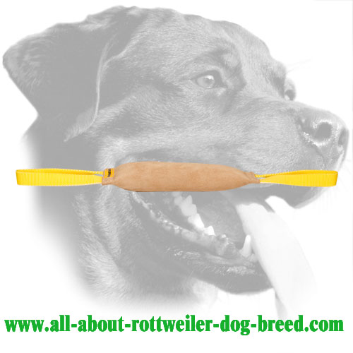 Hard Genuine Leather Rottweiler Bite Tug With Two Handles