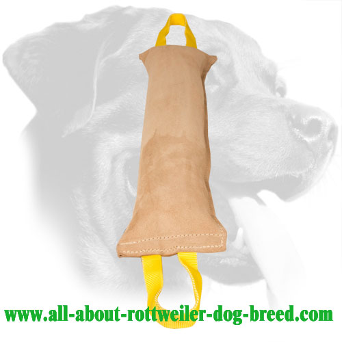 Rottweiler Leather Bite Tug for Developing Bite Skills