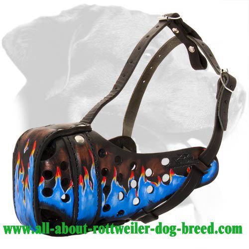 Adjustable Attack Training/Walking Leather Rottweiler Muzzle