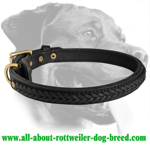 Rottweiler Superb Braided Leather Rottweiler Collar