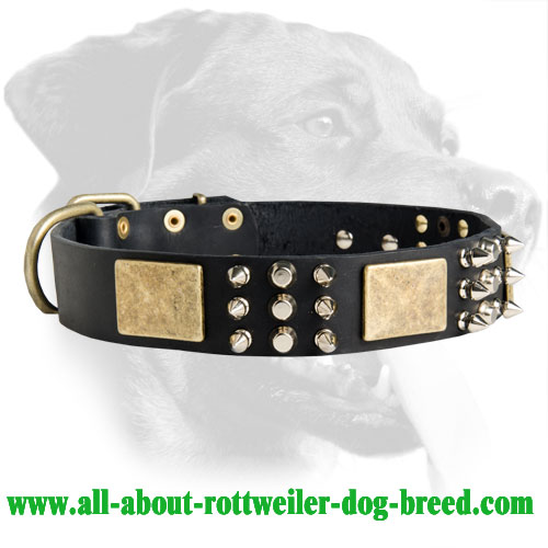 Fabulous Handcrafted Rottweiler Leather Collar