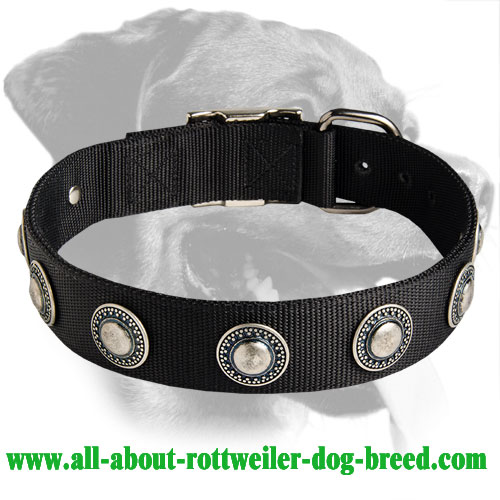 Rottweiler Nylon Collar with Silver Circles