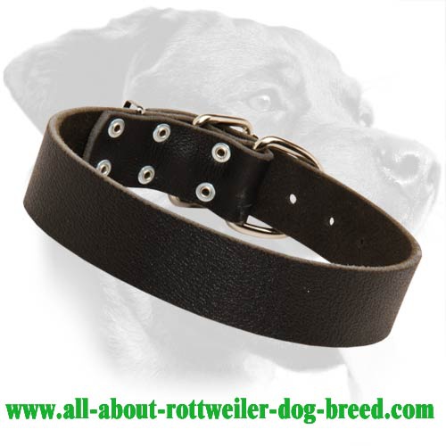 Plain design Leather Collar for Rottweiler