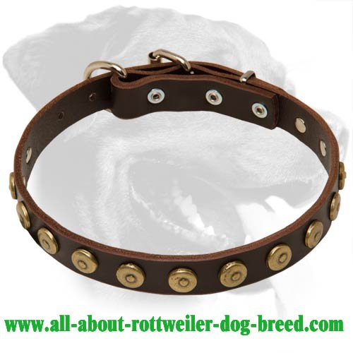 Gorgeous Leather Collar with doted circles for Rottweiler