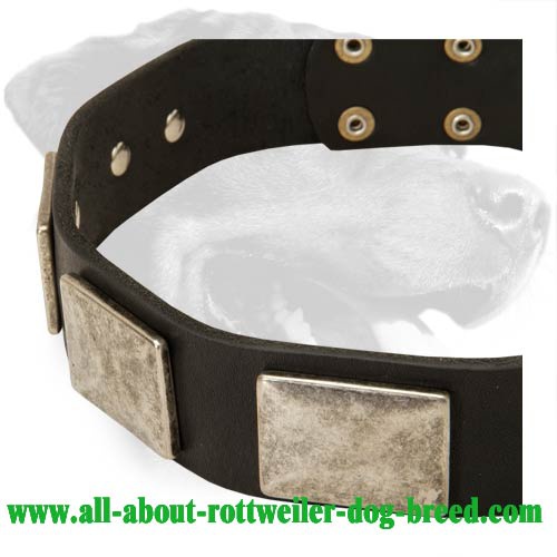 Handcrafted Leather Collar with Vintage Massive Plates for Rottweiler