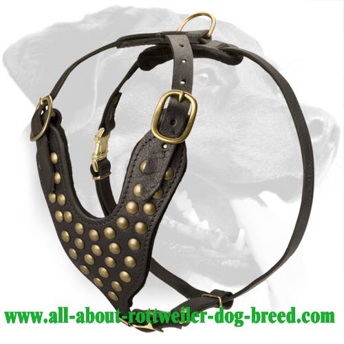 Fashion Walking Leather Dog Harness Studded with Half-Spheres for Rottweiler