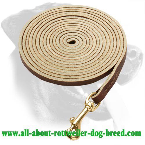 Tracking Leather Leash for Rottweiler