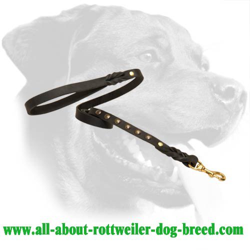 Leather Leash with studs for Rottweiler