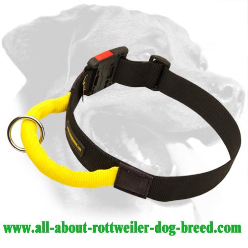 Functional Nylon Dog Collar for Rottweiler