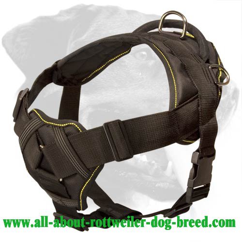 Dog Cart Harness - Dog Pulling Harness - Leather Dog Harness -H5 :  Rottweiler Breed: Dog Harnesses, Muzzles, Collars, Leashes, Bite Sleeves,  Training Equipment