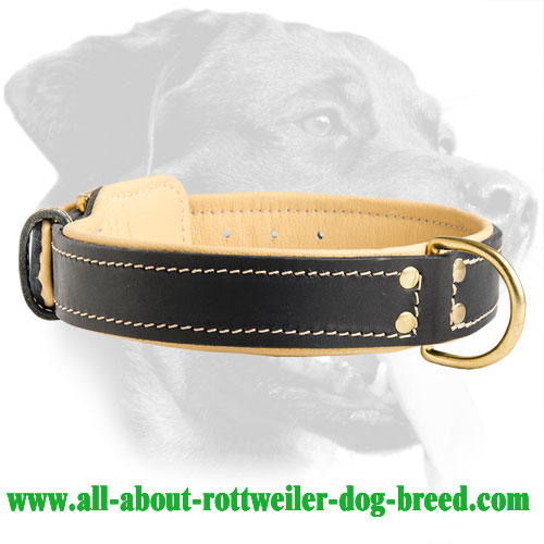 Rottweiler Handcrafted Padded Leather Collar
