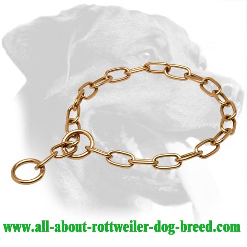 Curogan Choke Collar for Disobedient Rottweilers - 1/9 inch (3 mm) Link Diameter