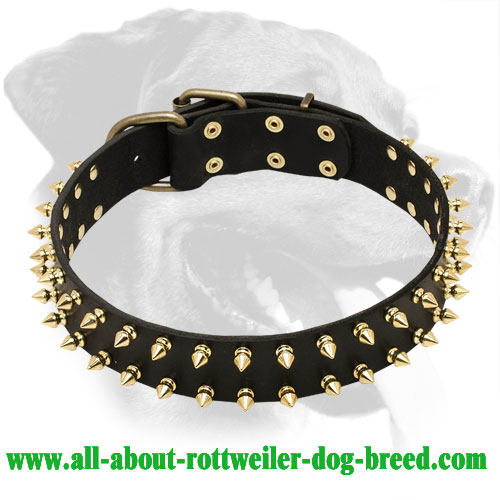 Aggressive Style Rottweiler Genuine Leather Collar