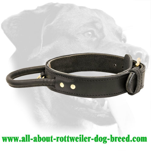 Training Leather Rottweiler Collar with Handle