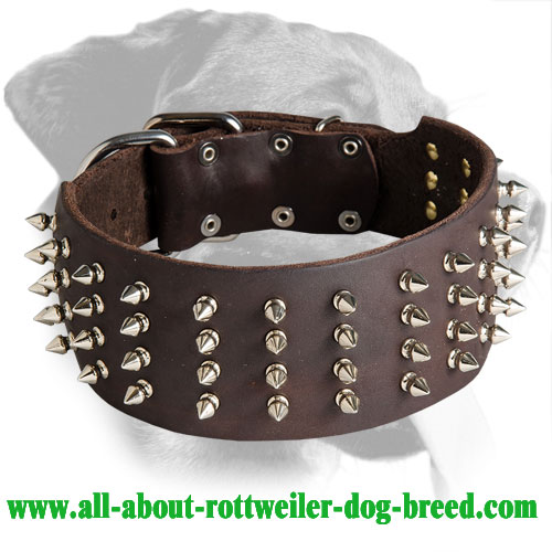 X-Large Breeds Heavy Duty 2 Wide | Best for Large Strong Genuine Leather Spiked Dog Collar Full Grain Comfortable DowgClub 