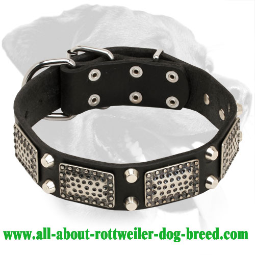 Superb Rottweiler Leather Collar with Vintage Plates