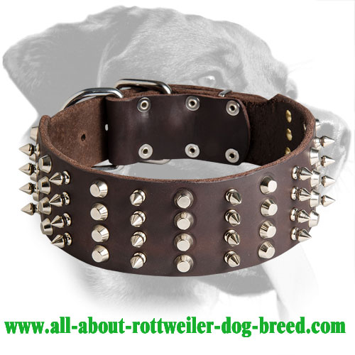 Wide Rottweiler Leather Collar with Spikes and Pyramids
