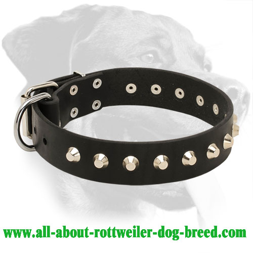 Rottweiler Everyday Leather Collar