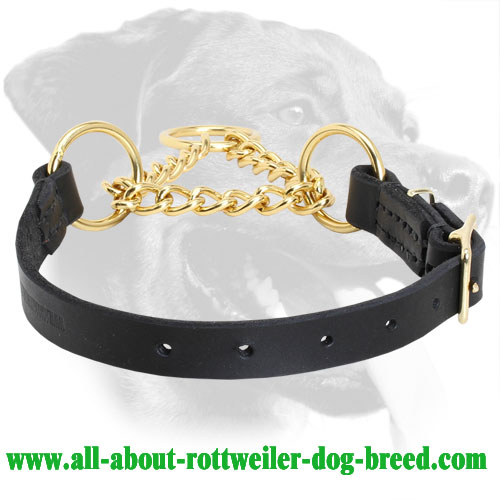 behavior correction collar for dogs