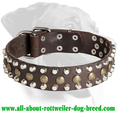 Excellent Rottweiler Leather Collar with pyramids and studs
