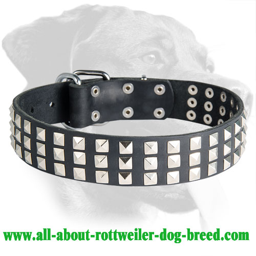 Rottweiler Leather Collar with Silver-Colored Pyramids