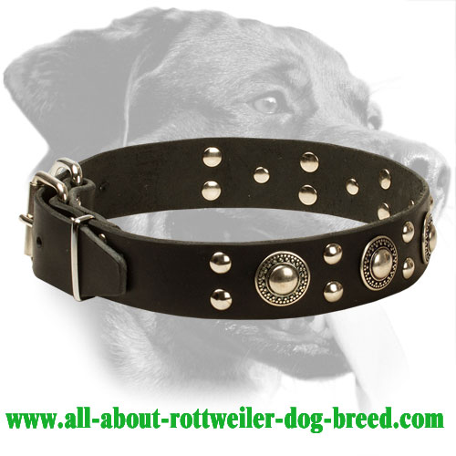 Trendy Rottweiler Collar with Mixed Decorations