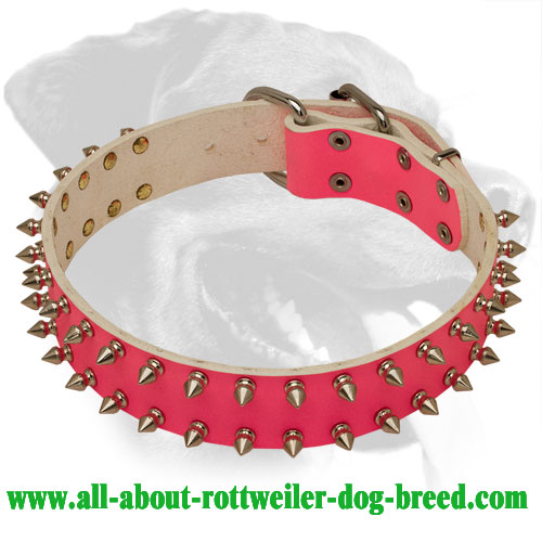 rottweiler bracelet