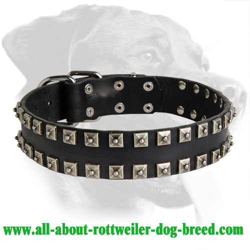 Outstanding Studded Leather Collar for Rottweiler