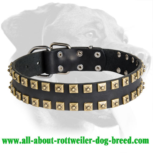 Exclusive Design Studded Leather Collar for Rottweiler