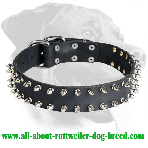 Exclusive Spiked Leather Dog Collar for Rottweiler