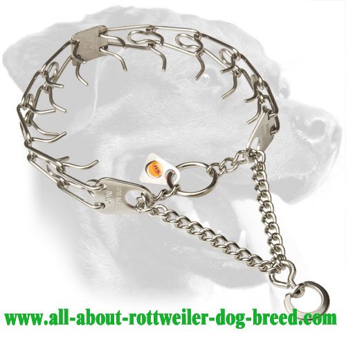 Stainless Steel Rottweiler Pinch Collar, 1/11 inch (2.25 mm) Prong Diameter