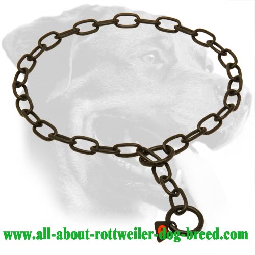 rottweiler behaviour problems buy black stainless steel rottweiler choke collar behavior rottweiler behaviour problems buy black stainless steel rottweiler choke collar behavior