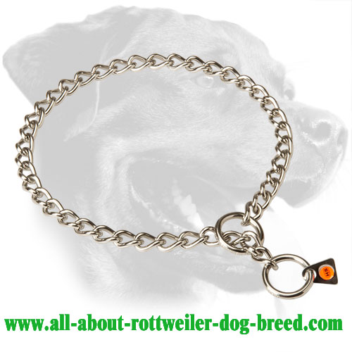 High Quality Stainless Steel Rottweiler Choke Collar, 1/9 inch (3 mm) Link Diameter