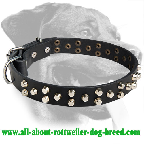 Rottweiler Gorgeous Design Leather Collar