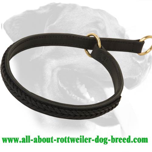 2 ply Leather Choke Collar for Rottweiler