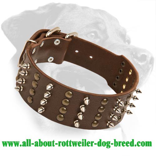 Get Wide Walking Leather Dog Collar, Brass Studs