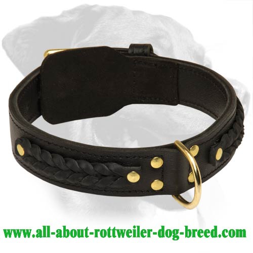 Braided 2 Ply Leather Collar for Rottweiler