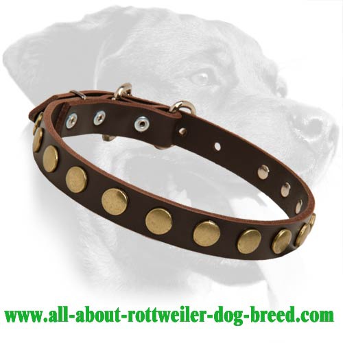 Cool Leather Collar with circles for Rottweiler