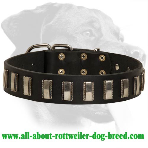 Well-designed Leather Collar for Rottweiler